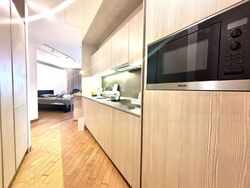 Duo Residences (D7), Apartment #462334461